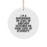 Funny Supervisor Gifts - I'm A Supervisor. My Level Of Sarcasm Depends On Your Level Of Stupidity. Circle Ornament, Gifts from Men, Gifts for Supervisor, Christmas Unique Gifts - Image 1